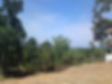 corner_sy_04