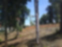 corner_sy_05