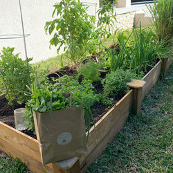 Cedar Raised Bed 3x9x1