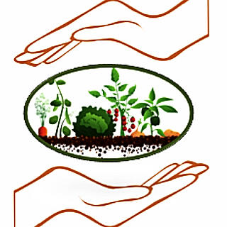 Writer: Garden à la Carte Team