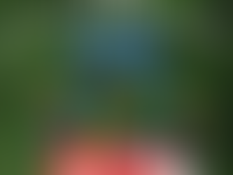 Give A MAKE Roanoke Membership to your special maker this holiday season!