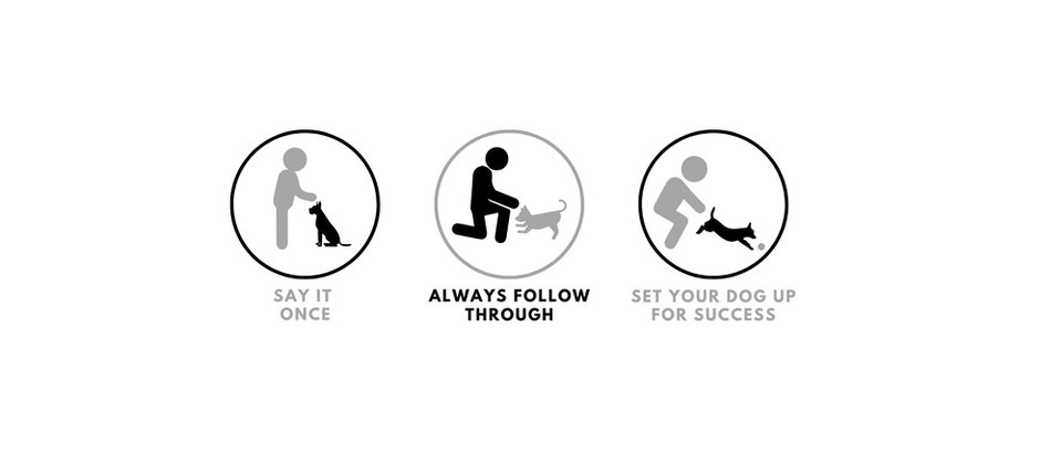 IA'S PILLARS OF TRAINING