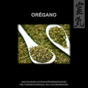 PLANTAS MEDICINALES 6