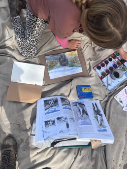 nature journal watercolor study