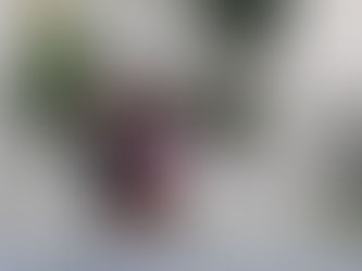講習とヘアショーと日ハム優勝と2周年記念で皆様ご来店ありがとうございましたという話。