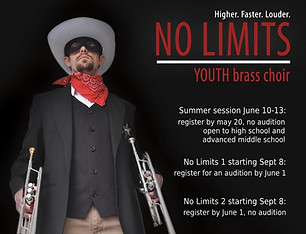 no limits logo.jpg