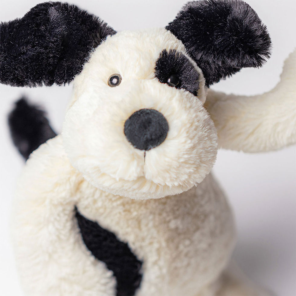 Thumbnail: Medium Bashful Rufferty Black & Cream Puppy