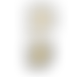 כלים פרקטיים לצועד המתחיל ולבוחר המתקדם