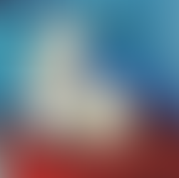 Gatti nella Medina di Chefchaouen. Marocco.