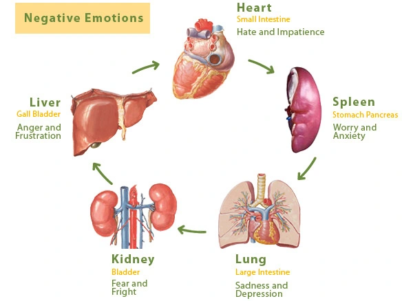 alt.text.label.negative.emotion.chart.chi.nei.tsang.webp