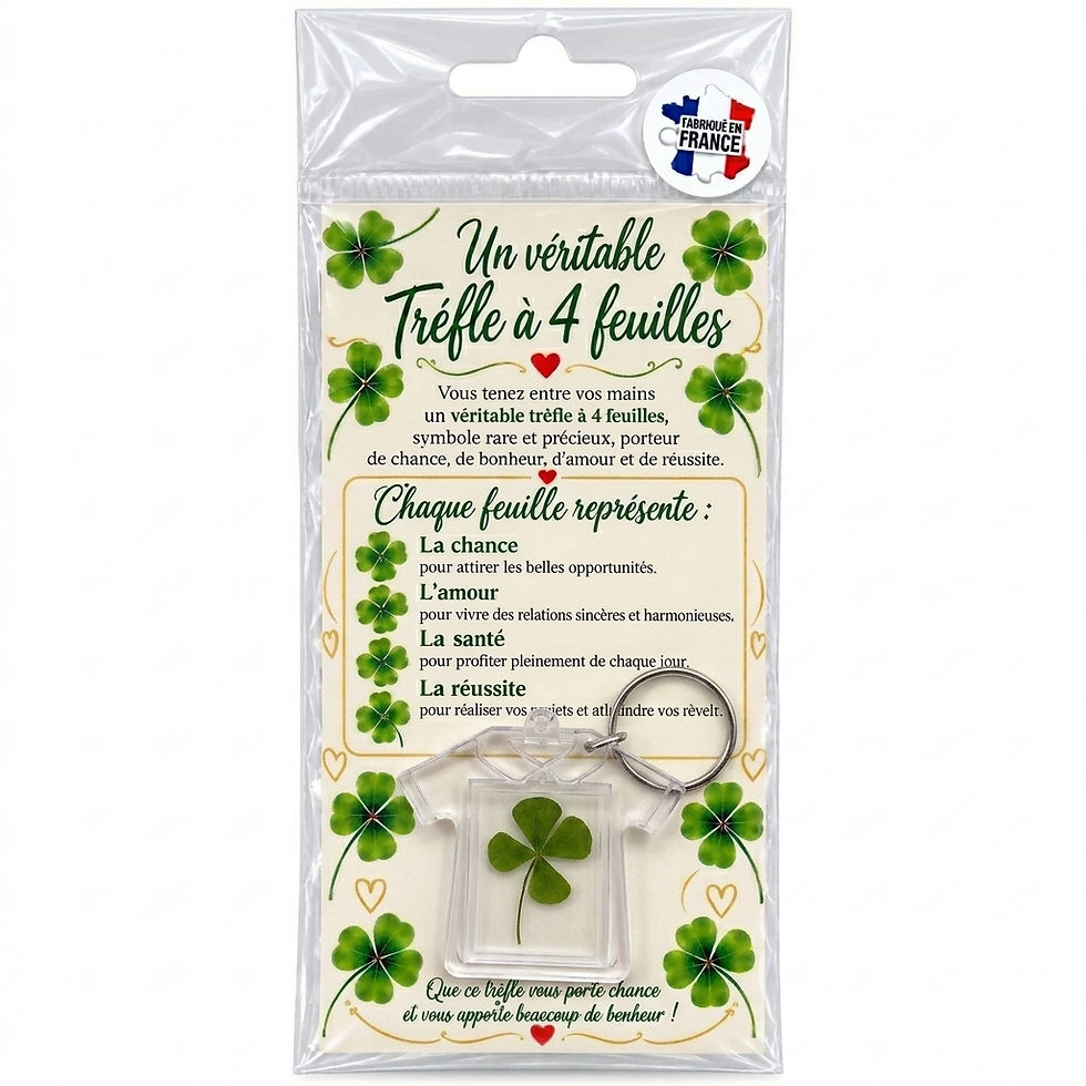 Porte-clés maillot transparent avec véritable trèfle à quatre feuilles porte-bonheur dans un sachet d'emballage cadeau sur fo