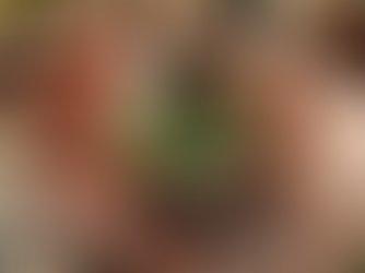 The Path to Success with Lepassbonheur - The Magic of the Clover