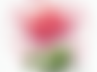 "The Four-Leaf Clover: The Talisman of Love and Luck"