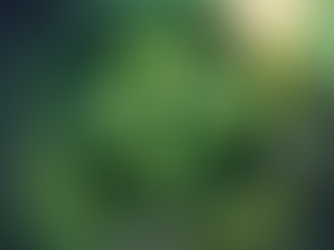 The Symbolism of the Four-Leaf Clover and Lily of the Valley: A Journey Through Legends and Beliefs