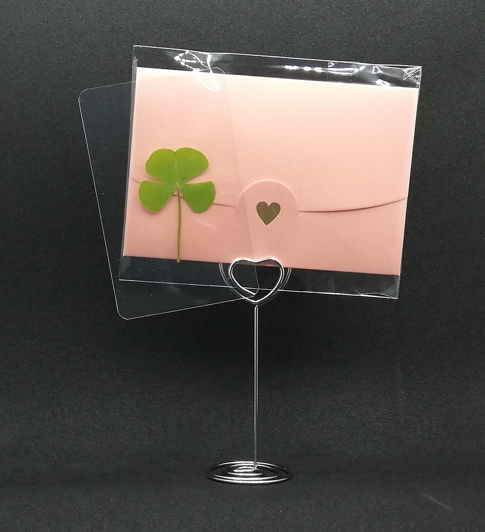Miniaturbild: porte chance, enveloppe rose , porte bonheur