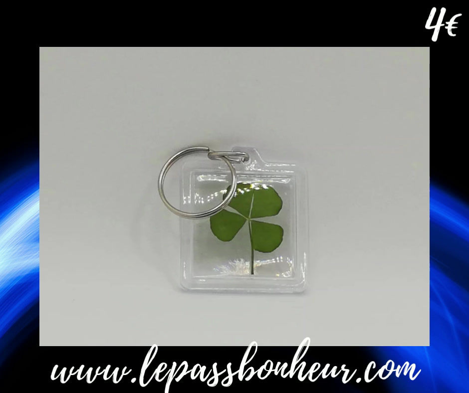 Miniature : Porte-clés simple et plein de sens avec véritable trèfle à quatre feuilles.