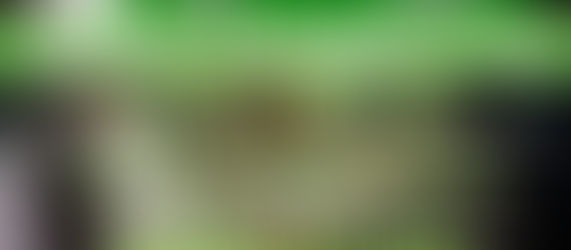 Vuelve Comedores Saludables a los barrios