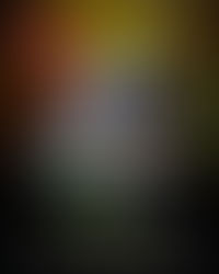 Chamamé: Descuento en entradas para jubilados y pensionados provinciales