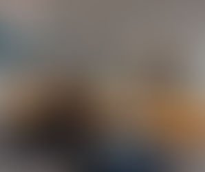 Analizan propuesta de optimización del funcionamiento de ICAA