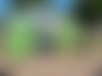 Volvió la venta de Garrafa Social