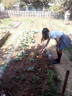 Desarrollo Social continúa con el trabajo de huertas en conjunto con escuelas