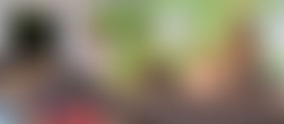 Presentaron una edición más de la Fiesta del Mate y la Amistad