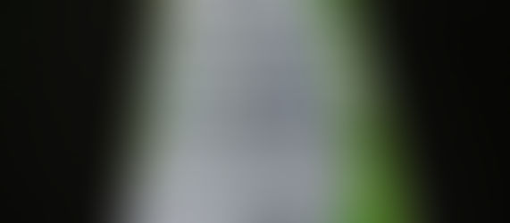 Culminó con gran éxito el Diplomado en Periodismo Turístico dictado en Corrientes