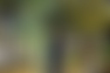 Desarrollo Social capacita al personal para separar los residuos en cada oficina