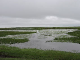 Webinar: Corrientes expondrá su oferta turística