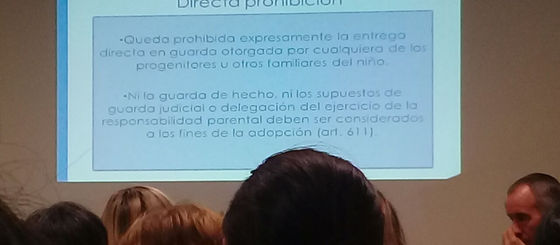 El COPNAF recibió capacitación en adopción