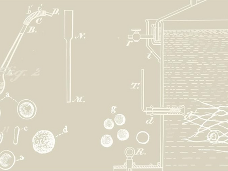 Editorial Reviews Rolling in for Patenting Life