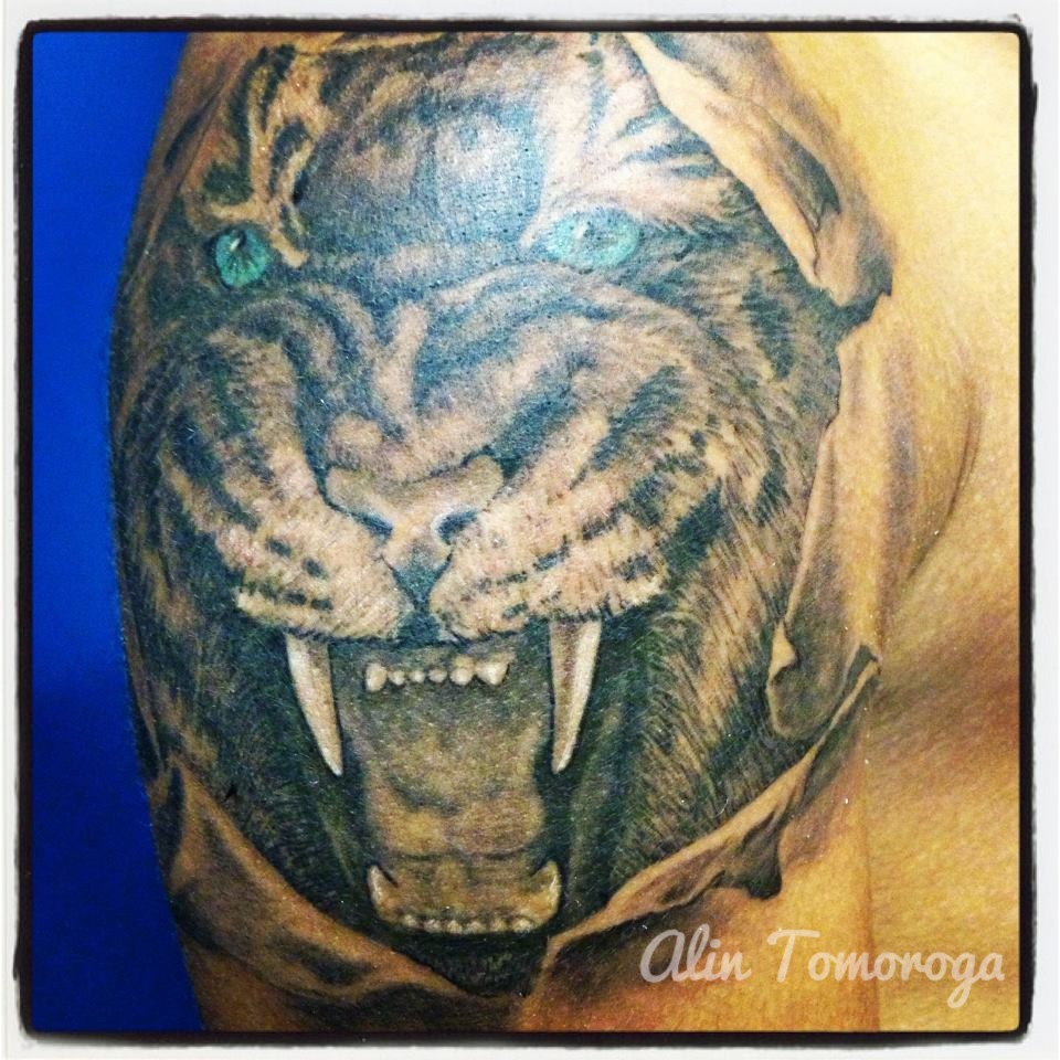 Tiger Broken Skin