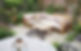 Eclectic + Bijou_2_edited_edited.jpg