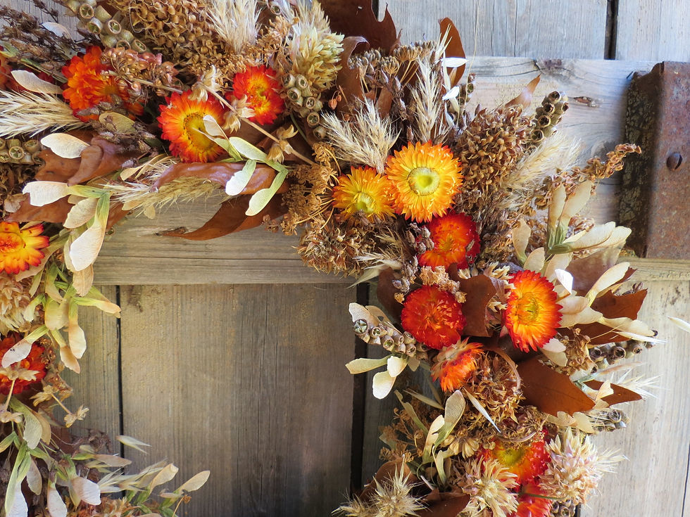 Thumbnail: AUTUMN WREATH | Everlasting Daisy Floral Wreath | All Natural | Dried Flower | 