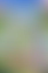 Veľkonočné prázdniny (2. – 7. apríla 2026)