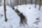Driving ATV in Snow