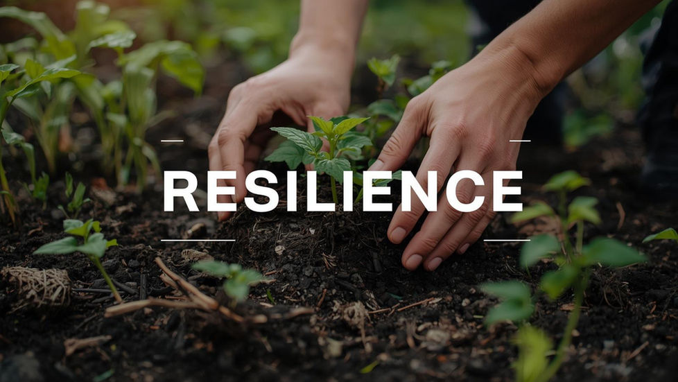 5 Evidence-Based Gardening Routines to Strengthen Family Mental Health & Resilience