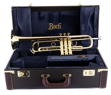 Bach Trumpet With Case_edited.png
