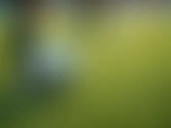 Unleashing the Unknown: Master the Art of Free Kicks in Soccer with Confidence