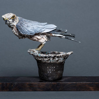 Mark Gibbs - though provoking sculpture of wildlife using found materials - Saul Hay Gallery Manchester