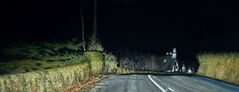 Jen Orpin - The Rise, Oil on canvas, 50x20cm, 2025. Painting of a nightime country road illuminated by headlights of a car with road dipping away ahead