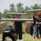 Thumbnail: BOOT CAMP