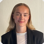 Skärmavbild 2024-02-29 kl. 12.48.37.png