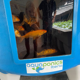 Spotlight: João Cotter, founder of Aquaponics Iberia