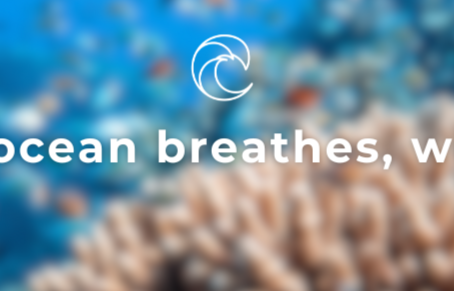 It's time for public to vote for their favorite OC Challenge 2024 solution!