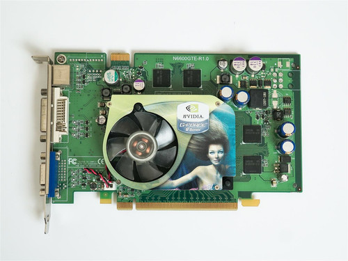 Bfg 6600gt Agp 6600 Agp Geforce 6600 Gt Drivers