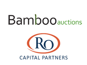 RO Capital Partners makes first investment co-leads £1.1 million funding round in Bamboo Auctions.