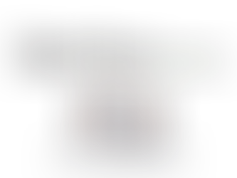 RO Capital Partners makes first investment co-leads £1.1 million funding round in Bamboo Auctions.