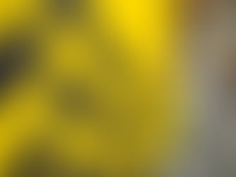 Bundeslehrlingswettbewerb der Bodenleger 2025