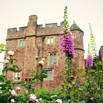 Dunster Castle